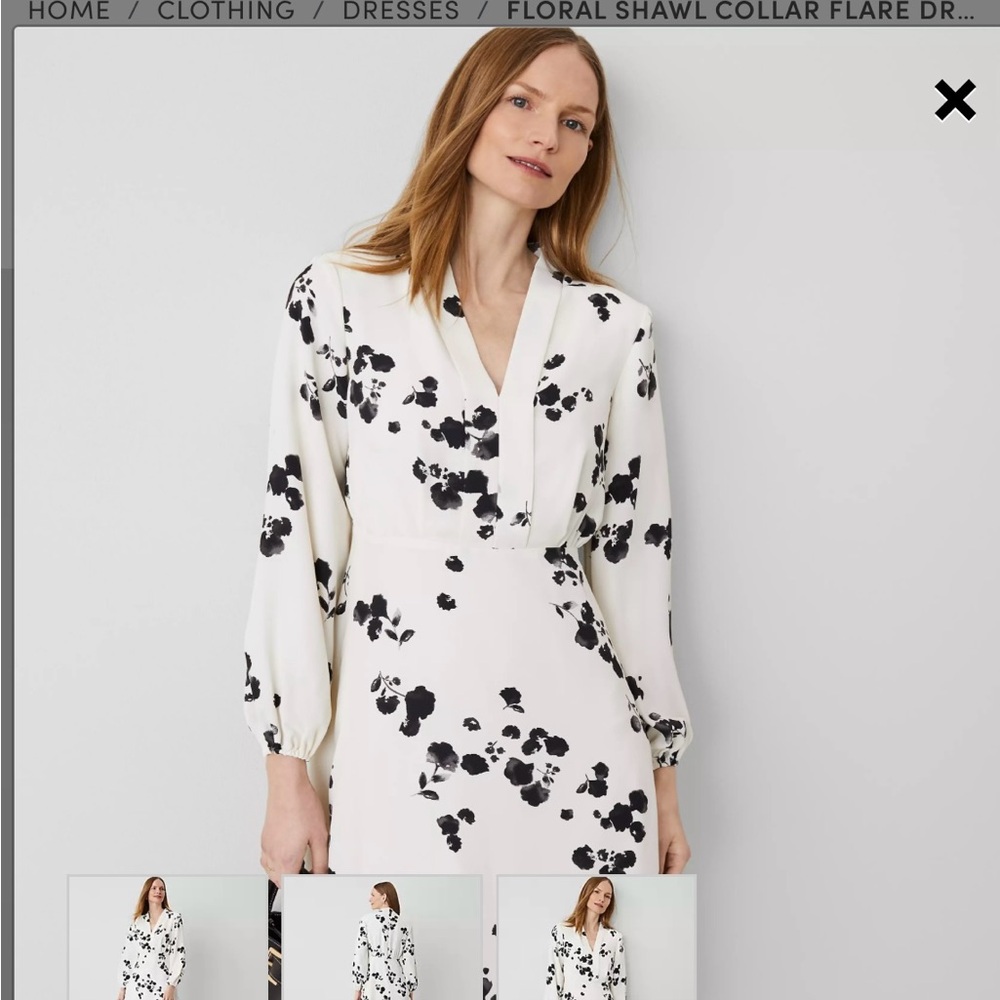 NWT Size 10 Ann Taylor midi dress